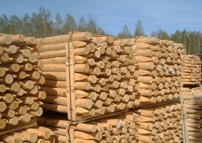 11 Колья деревянные окоренные