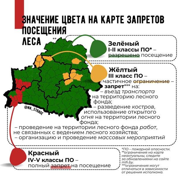 РАССКАЗЫВАЕМ О ЗАПРЕТАХ И ОГРАНИЧЕНИЯХ НА ПОСЕЩЕНИЕ ЛЕСОВ