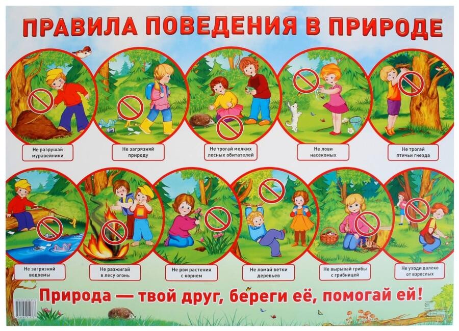 Внимание школьников! Соблюдайте правила пожарной безопасности в лесу!