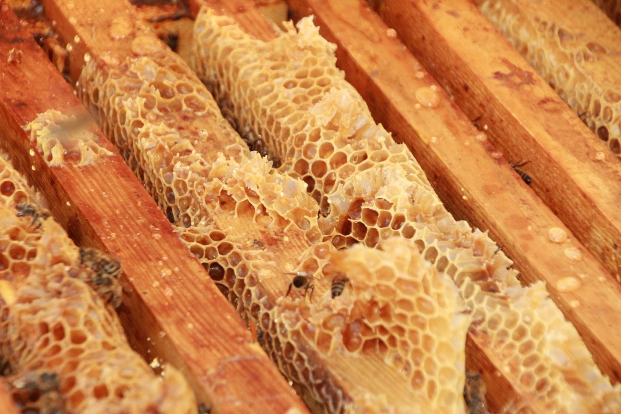 Honey1