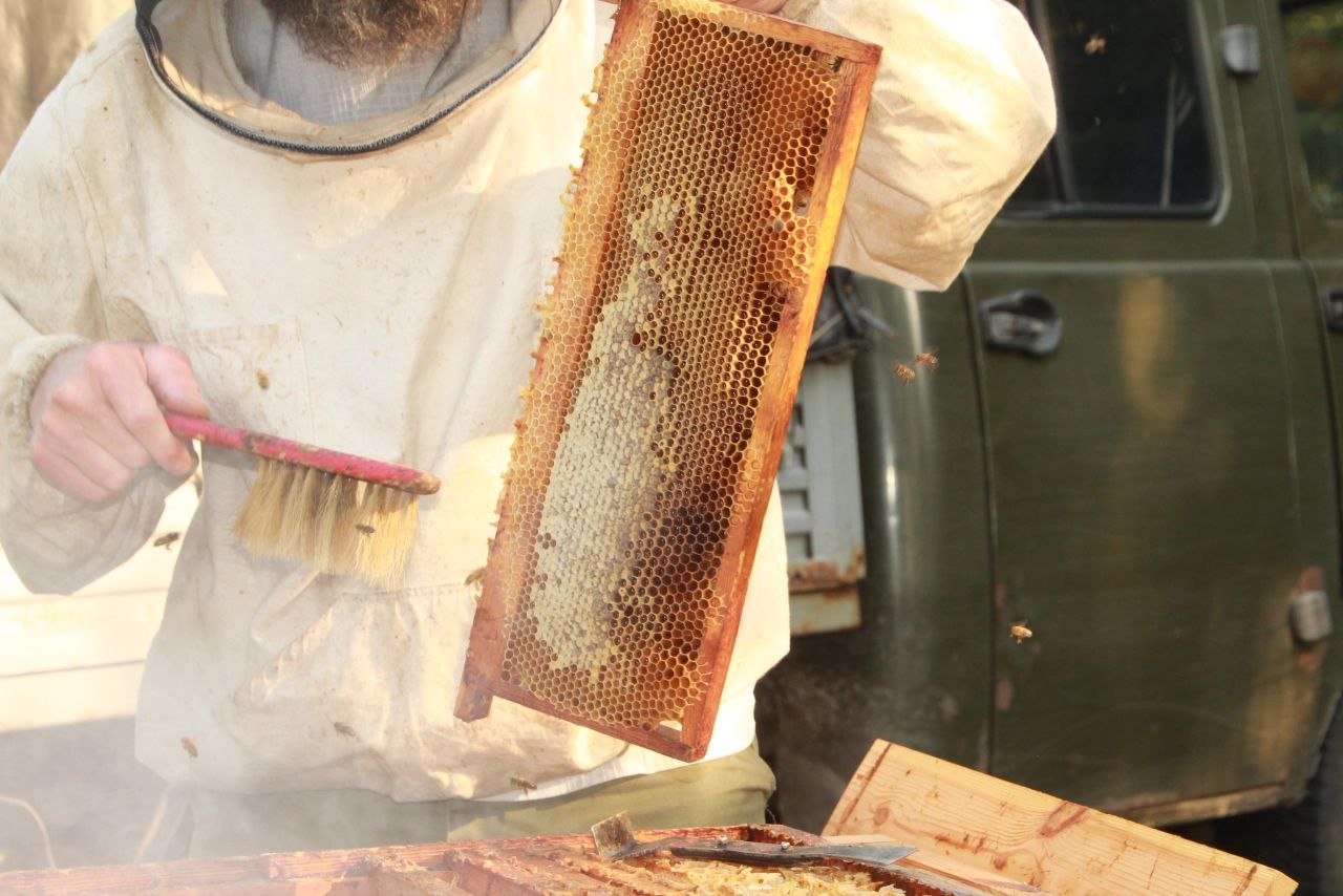 Honey2