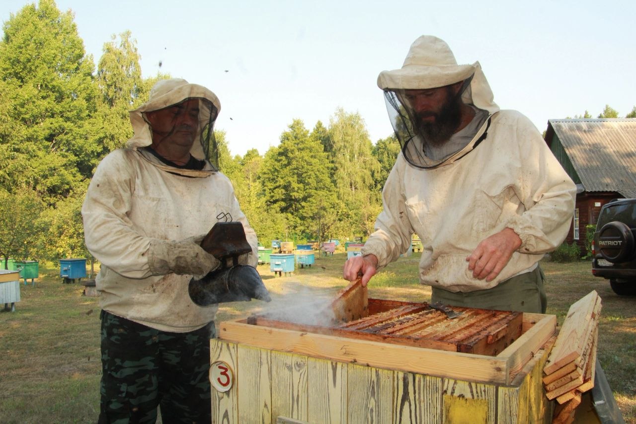 Honey3