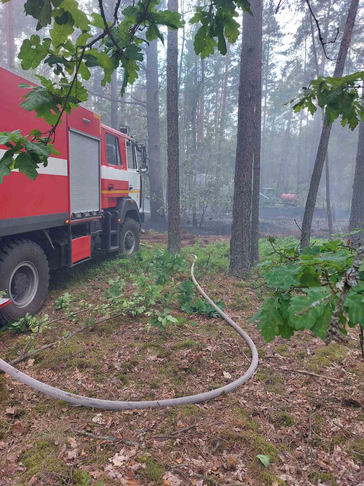 Lok2