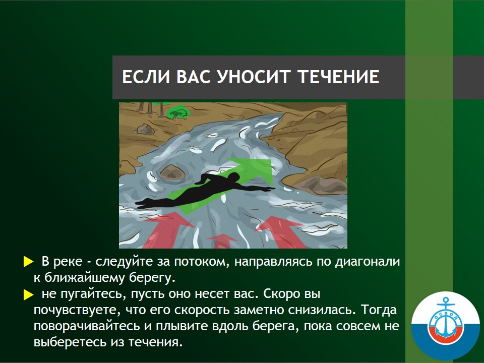 Slide7