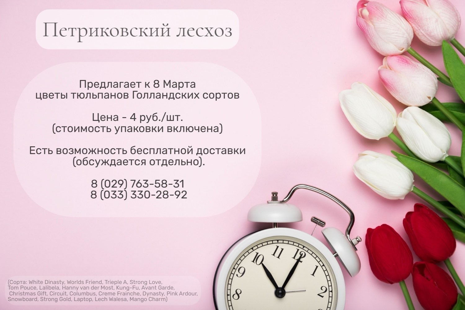 Реализация тюльпанов в 2026 году