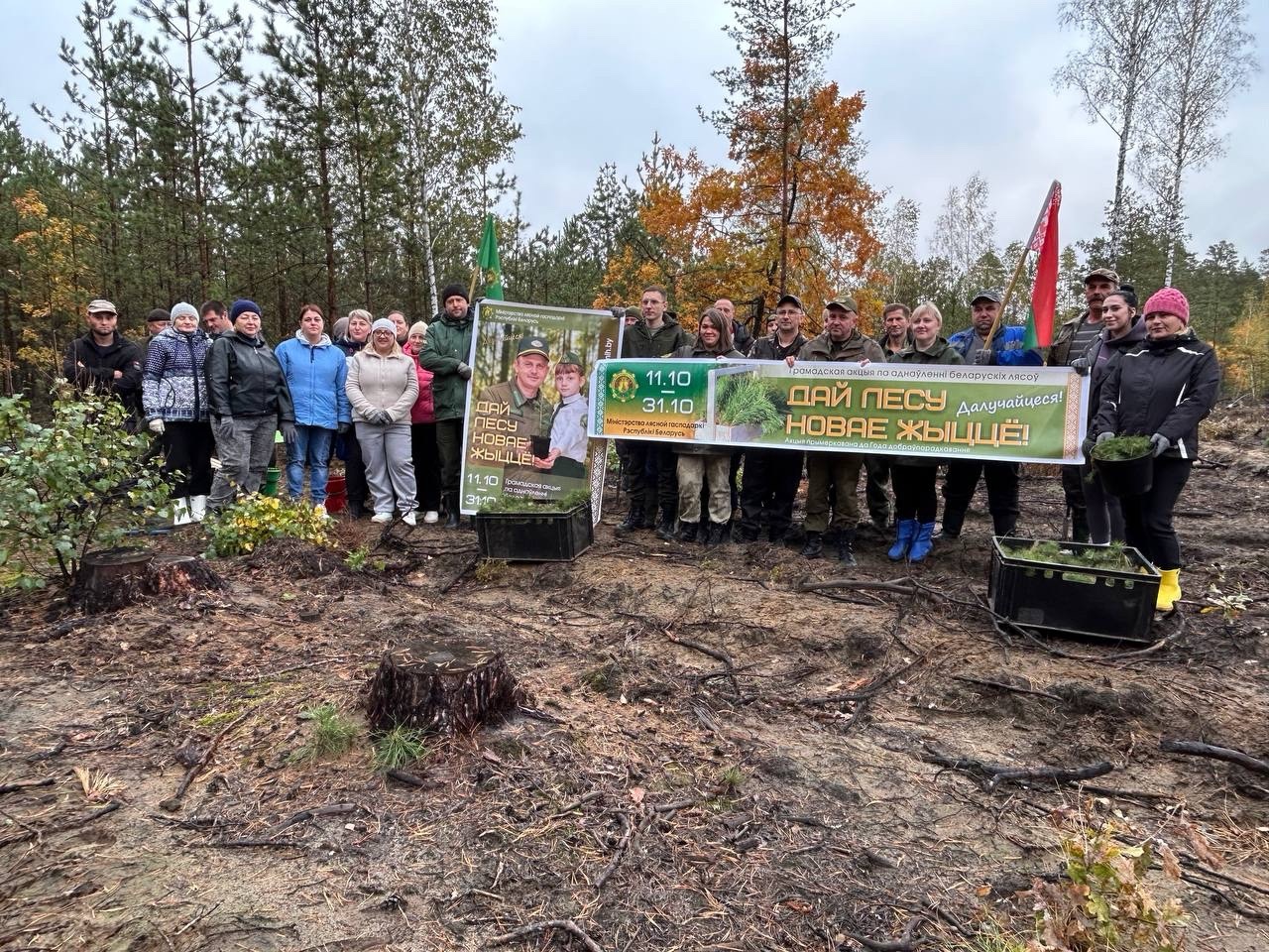«Дай лесу новае жыцце!»-2025